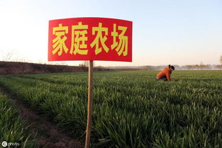 自治區(qū)農業(yè)農村廳關于印發(fā)2019年中央農業(yè)生產發(fā)展資金 家庭農場 項目實施方案的通知