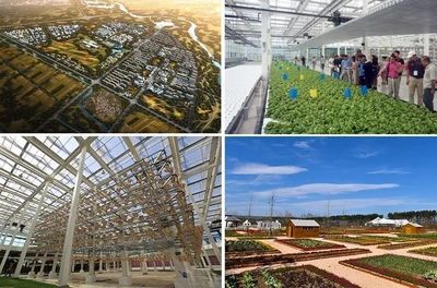 【游學課程】以農業(yè)為基礎,如何搭建現(xiàn)代農業(yè),休閑度假,田園社區(qū)的農業(yè)綜合體開發(fā)模式?