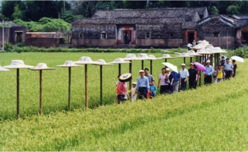 農業為國之根本 洞悉未來農業發展的五大“小趨勢”